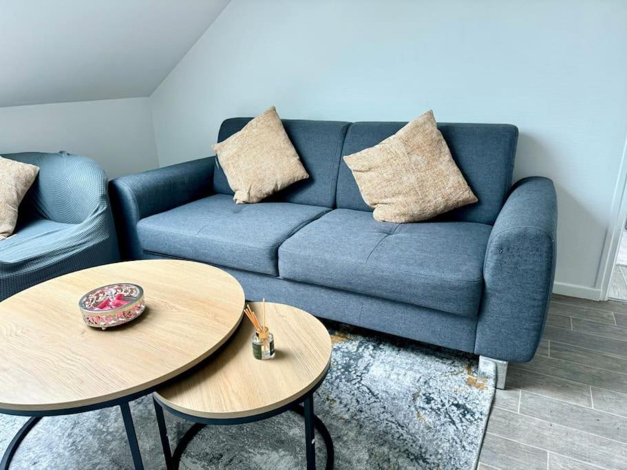 Superbe Appartement Tres Calme Et Confortable ランス エクステリア 写真